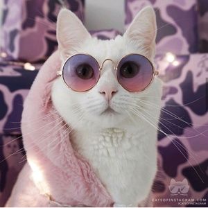 Meet your Posher, Cortney